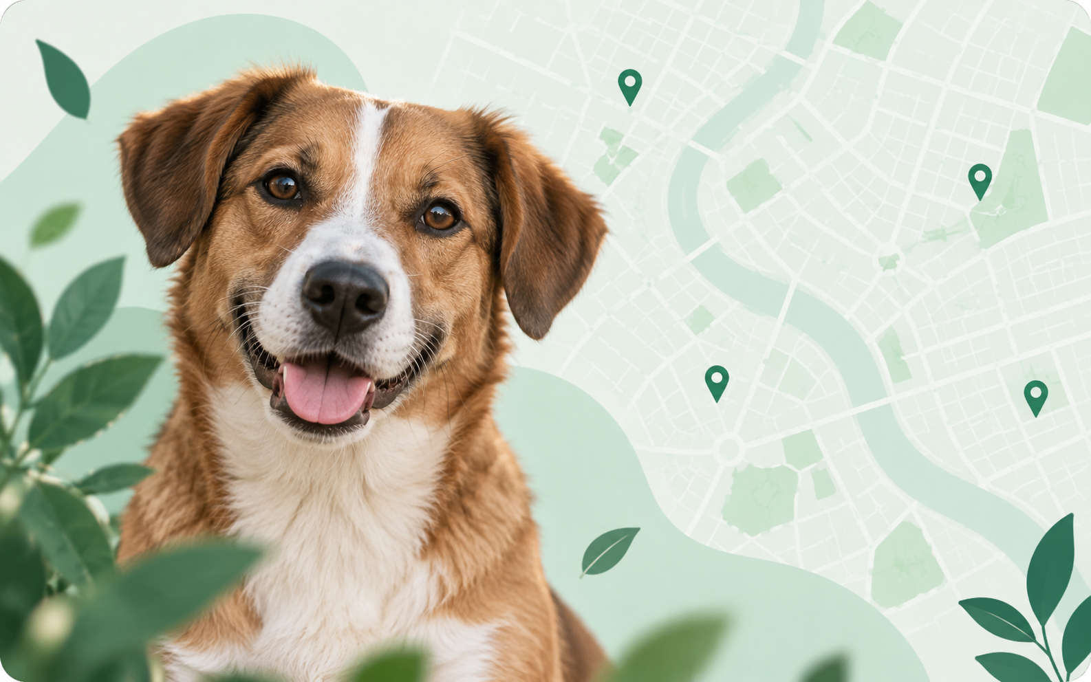 Perro junto a un mapa de ayuda